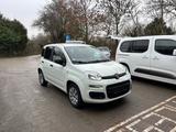 Fiat Panda Pop - Fiat Panda: Pop