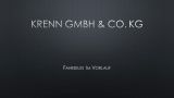 MG ZS Comfort *LED*TEMPOMAT* - MG ZS: Comfort