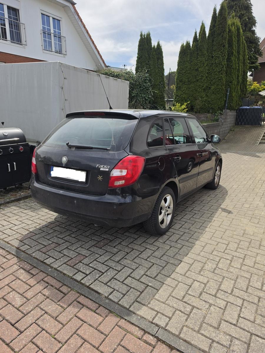Skoda Fabia 2009 — rear view