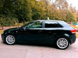 Audi A3 8P mit 1,6 Motor *TOP gepflegt* - Audi A3: Motor