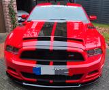 Ford Mustang  - Ford Mustang: Rot