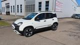 Fiat Panda City Cross Plus 1,0 70 PS+Sitz+WSS Heizung - Fiat Panda: 1.0