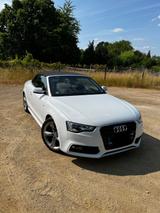 Audi A5 1.8 TFSI multitronic Cabriolet - 4 mal S line - Audi A5: Multitronic