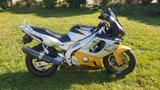 Yamaha YZF 600 R Thundercat  - YAMAHA 2000 YZF R6