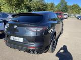 Alfa Romeo Stelvio Quadrifoglio 2.9 V6 Bi-Turbo 510PS Q4 - Alfa Romeo Stelvio Gebrauchtwagen