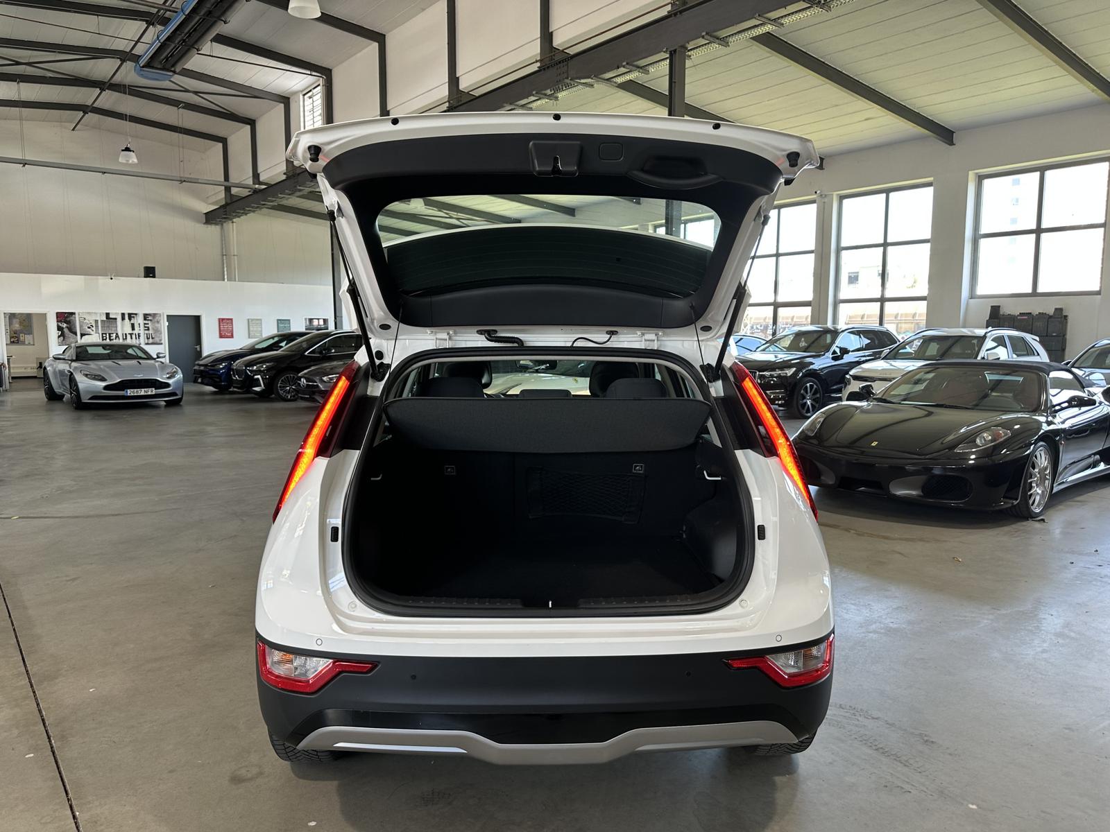 Kia Niro EV Edition 7/SoH 97,7%/1Hd/204PS/Garantie