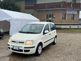 Fiat Panda 1.3 MJT 16V DPF Emotion - Fiat Panda Emotion mit Diesel-Antrieb