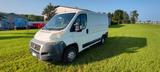 Fiat Ducato Kastenwagen wenig Kilometer - Fiat Ducato aus 2010: Van