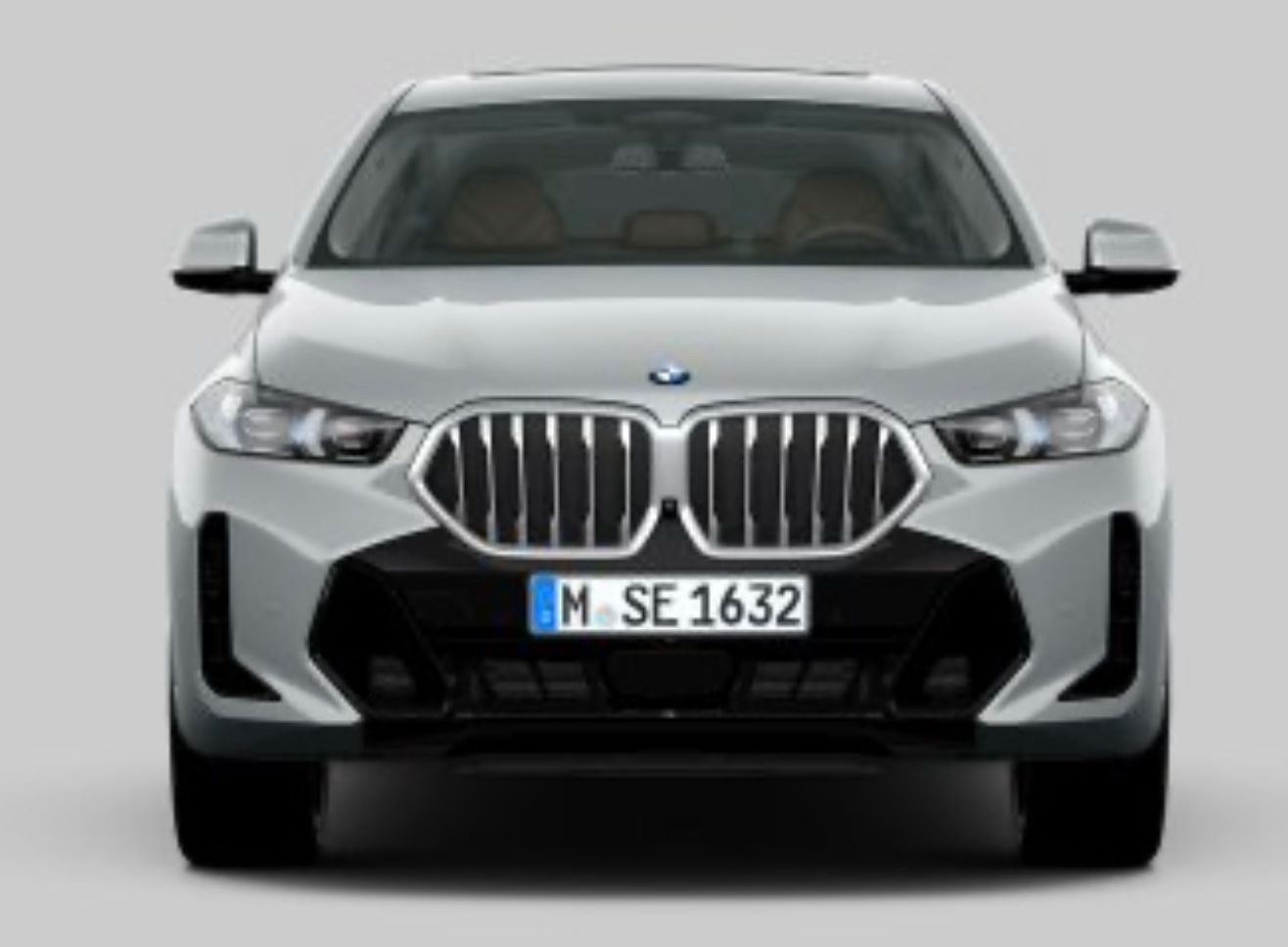 BMW X6 xDrive40i M Sport l HuD l H&K l Softclose foto 2