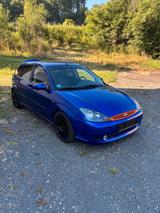 Ford Verkaufe Ford Focus ST 170 - Ford Focus: ST 170