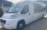 Fiat Ducato 250L  - TS Aufbau - 2 x Klima - TOP  -  - Fiat Ducato l 250