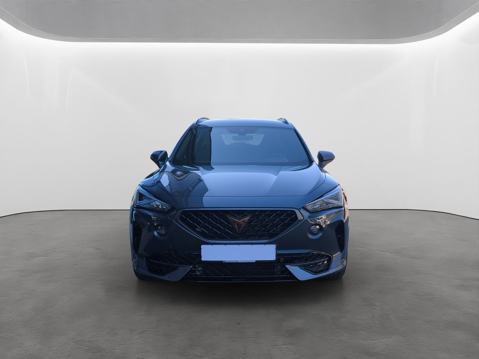 Cupra Formentor 2.0 TSI DSG 4Drive VZ AKRAPOVIC+LED+NA imagem 3