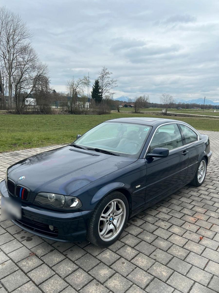 BMW 323