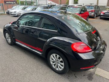 Volkswagen Beetle - 7