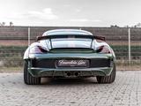 Porsche Cayman S*PRO-STREET-BREITBAU*MOTOR-NEU*HISTORIE - Porsche: Motor