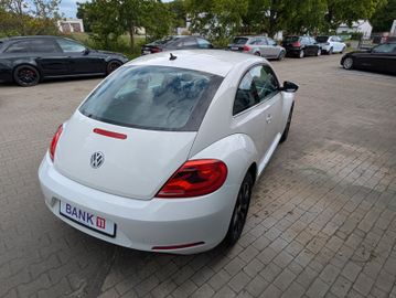 Volkswagen Beetle - 9