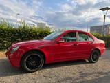 Mercedes-Benz 240 - Mercedes-Benz 240 Benziner Gebrauchtwagen