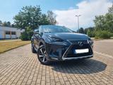 Lexus NX 300h E-FOUR Luxury Line   - Lexus: 300h