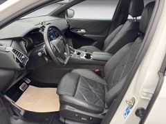 Fahrzeugabbildung DS Automobiles DS 7 1.6 E-Tense 225 Grand Chic Leder & Kamera