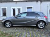 Mercedes-Benz A 180 Style|Klima|SHZ|Kamera|Sportsitze|T-Leder - Mercedes-Benz A 180 in Dresden