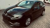 Volkswagen Polo 1.2 TSI 66kW DSG Comfortline BMT Comfor... - Volkswagen Polo: 1.6
