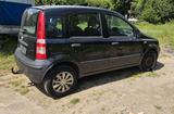 Fiat Panda - Fiat Panda Gebrauchtwagen in Solingen