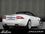 Jaguar XKR 5.0 Kompressor V8 Cabriolet #RFK/ PDC/ Bower - Jaguar in Köln