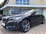 BMW 2 Cabrio 218 i Bi-Xenon Navi Leder Alu Pdc Euro6 - BMW 218 Gebrauchtwagen