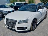 Audi A5 3.0 TDI S line 1Hand-Lückenlos scheckheft VW - Audi A5 aus 2009: Line