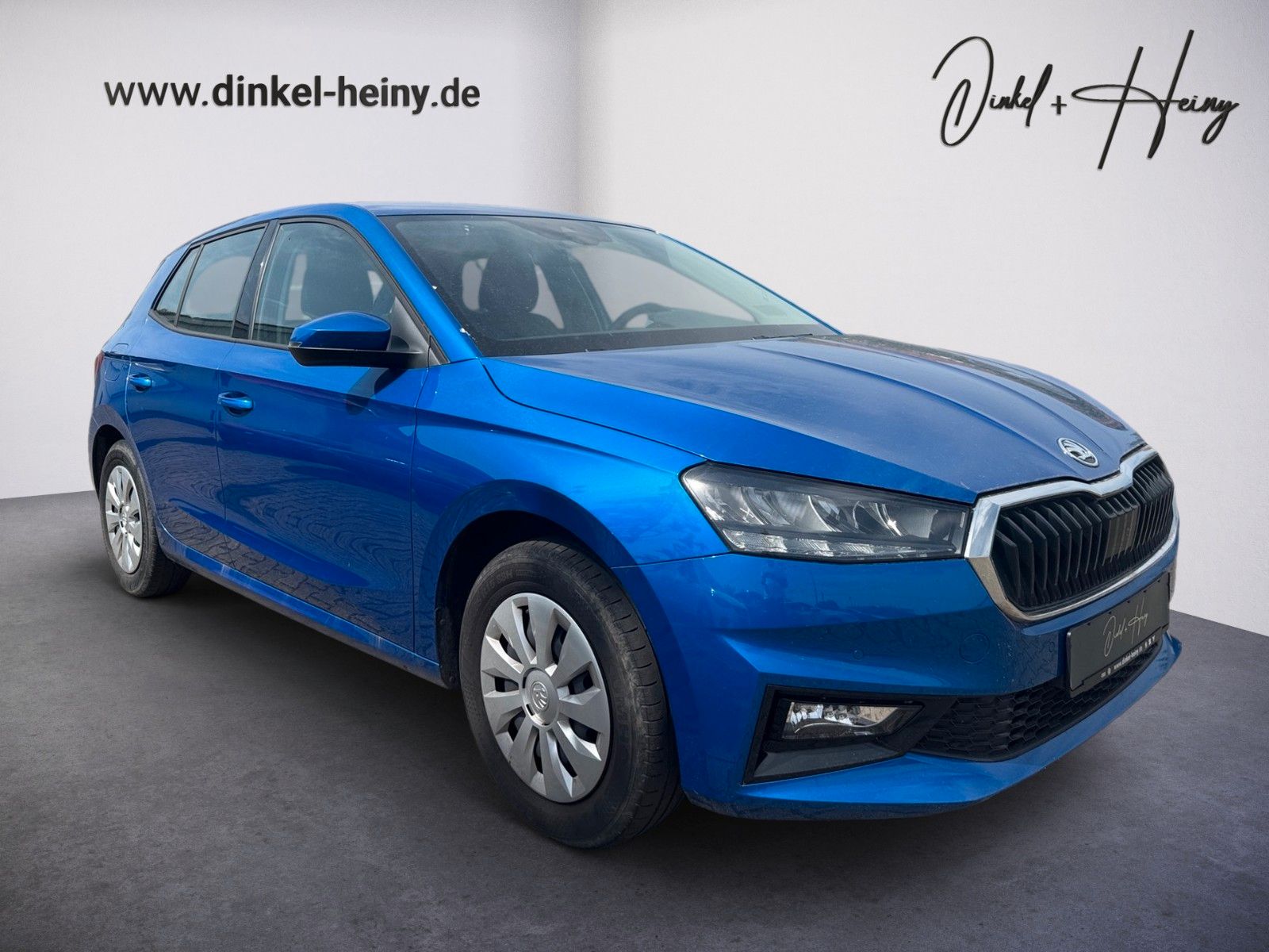 Fahrzeugabbildung SKODA Fabia Ambition 1.0 TSI