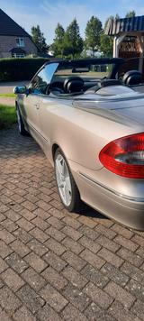 Mercedes-Benz CLK 280 AVANTGARDE AVANTGARDE - mit Benzin-Antrieb: Gold, Cabrio