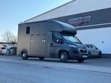 Peugeot Boxer MSG 2-Pferdetransporter Stable Hopper - Gebraucht Tier-/Pferdetransport 2 pferde