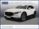 Mazda CX-30 2.0 SKYACTIV-G M Hybrid 150 NAVI PDC BT - Mazda CX-30 in Essen