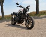Yamaha XSR 700 XTRIBUTE / XT 500 - Design / Scrambler  - YAMAHA XT 500
