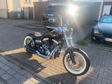 Harley-Davidson Fatbob - Harley-Davidson Motorräder in Dortmund