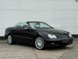 Mercedes-Benz CLK 280 V6 Cabrio*AVANTGARDE*AHK*H&K*SITZKÜHL* - Mercedes-Benz CLK 280: Cabrio