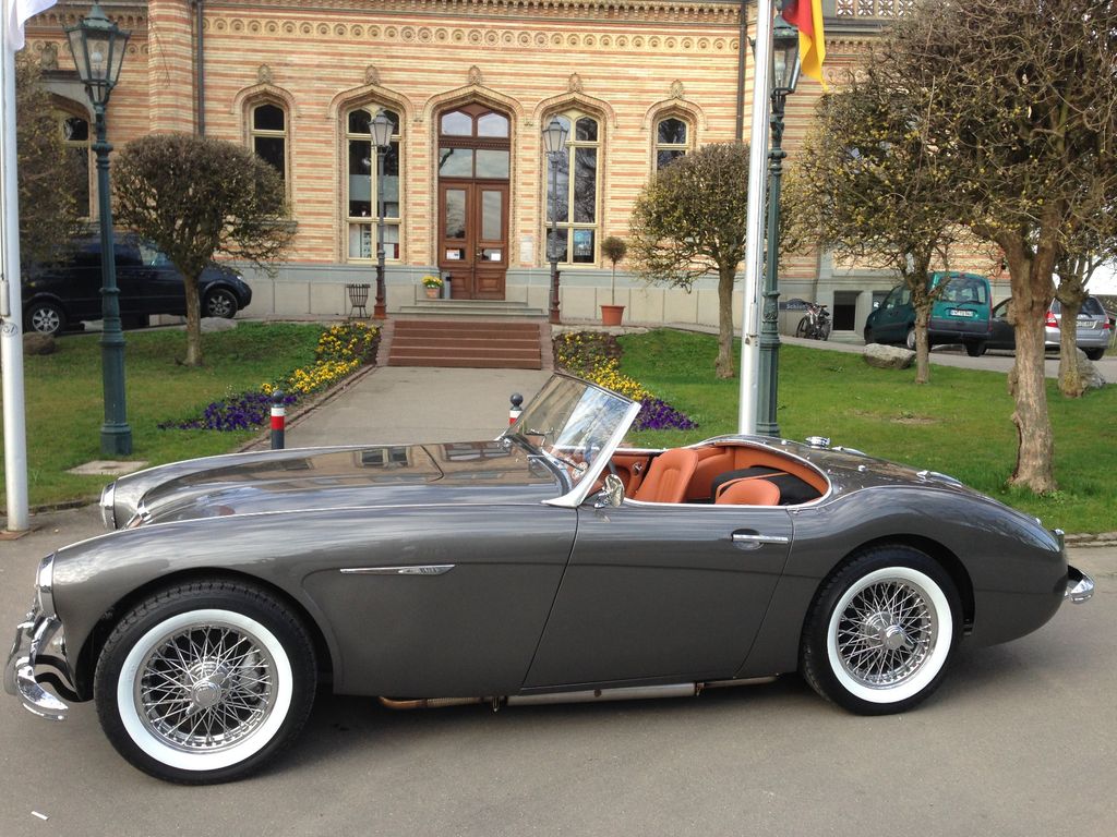 Austin Healey Andere