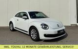 Volkswagen Beetle *PDC*SHZ*TÜV/HU+SERVICE NEU* - Volkswagen Beetle: Limousine