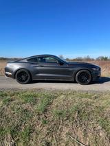 Ford Mustang 5.0 Ti-VCT V8 GT GT - Ford Mustang in Hamm