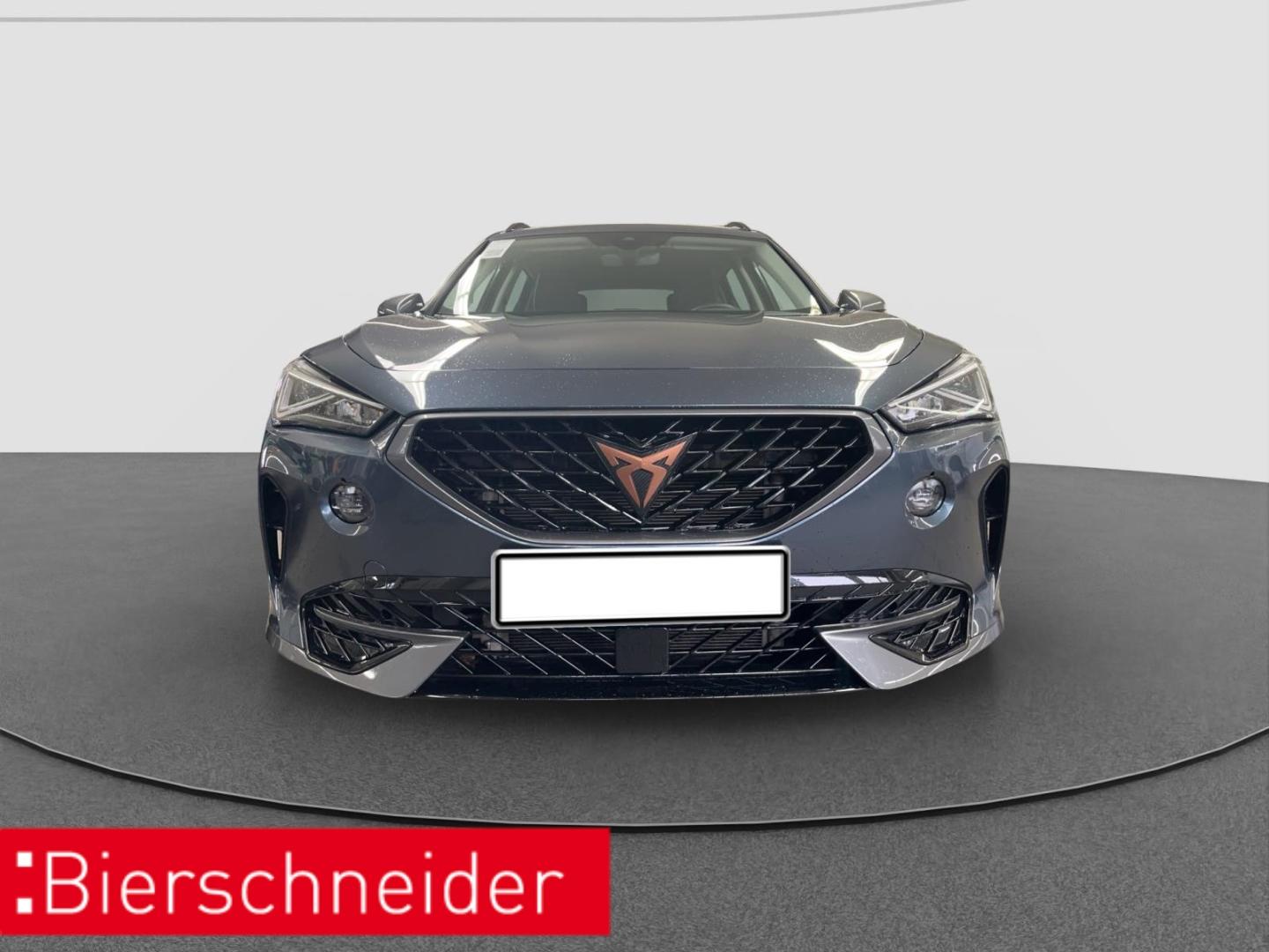 Cupra Formentor 1.5 TSI DSG NAVI DAB PDC SHZ