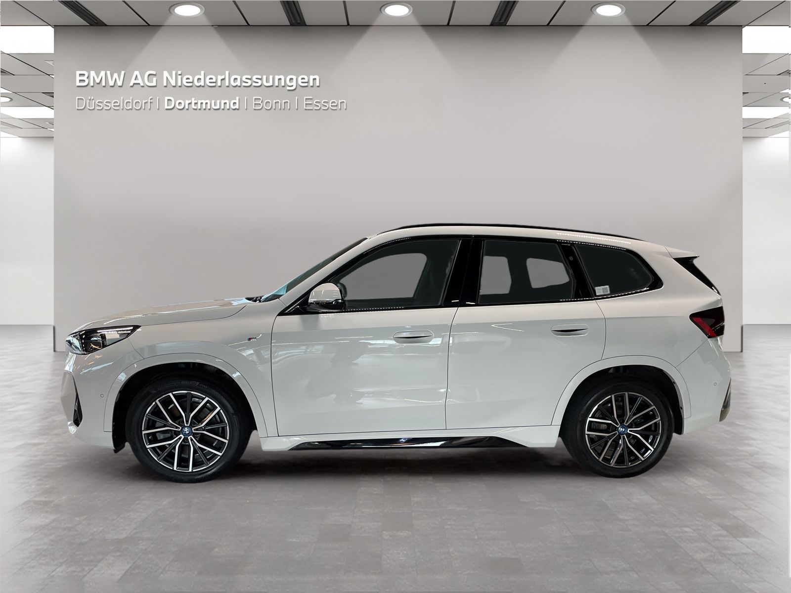 BMW iX1 xDrive30 M Sport Kamera Driv.Assist LED foto 3