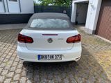 Volkswagen Sehr schöner Golf 1.6 TDI  Cabriolet - Volkswagen Golf mit Diesel-Antrieb: Cabrio, 1.6