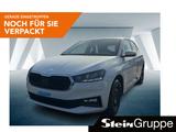 Skoda Fabia 1.0 MPI Selection DAB+LED+PDC+KAMERA - Skoda Fabia Neuwagen in Köln