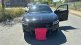 Dodge Charger - Dodge Charger Benzin Gebrauchtwagen