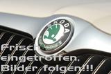 Skoda Kodiaq Sportline 4x4 ACC AHK Virtual 360° Panora - Skoda Kodiaq SPORTLINE mit Diesel-Antrieb