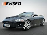 Jaguar XK 4.2 Cabriolet - Jaguar: Cabrio
