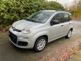 Fiat Panda (New Panda POP, 1.2, 69 PS) - Fiat New Panda in Hamburg