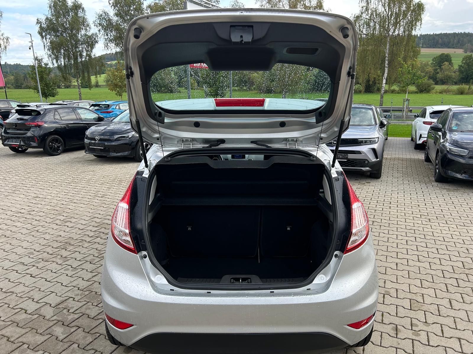 Fahrzeugabbildung Ford Fiesta Titanium