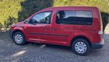 Volkswagen Caddy Life Micro Van / Tiny Camper Solar autark - Benzin Kastenwagen