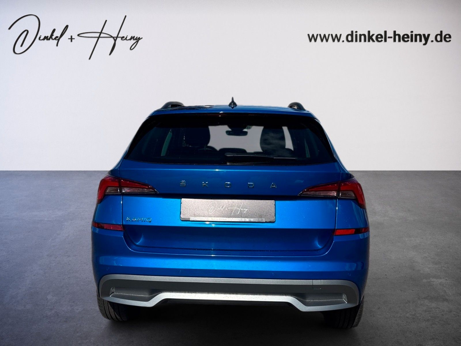 Fahrzeugabbildung SKODA Kamiq Ambition Tour 1.5 TSI